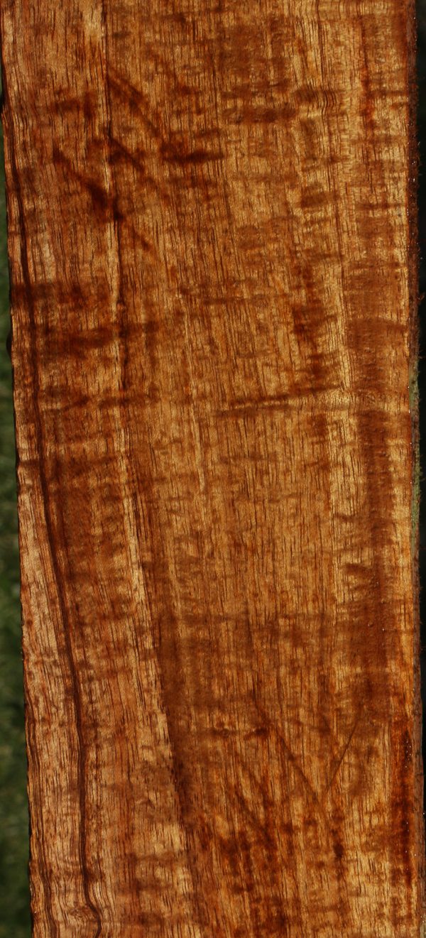 Extra Fancy Hawaiian Koa Lumber Discount - Image 4