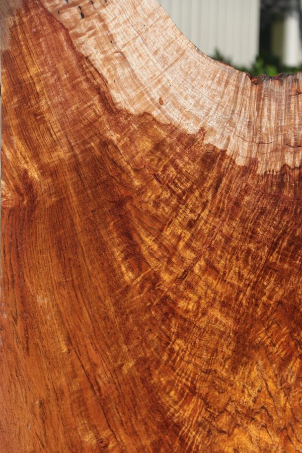 Rustic Exhibition Jatoba Live Edge Slab Supply - Image 4