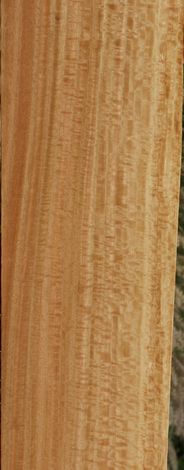 Extra Fancy Eucalyptus Lumber Online Sale - Image 2