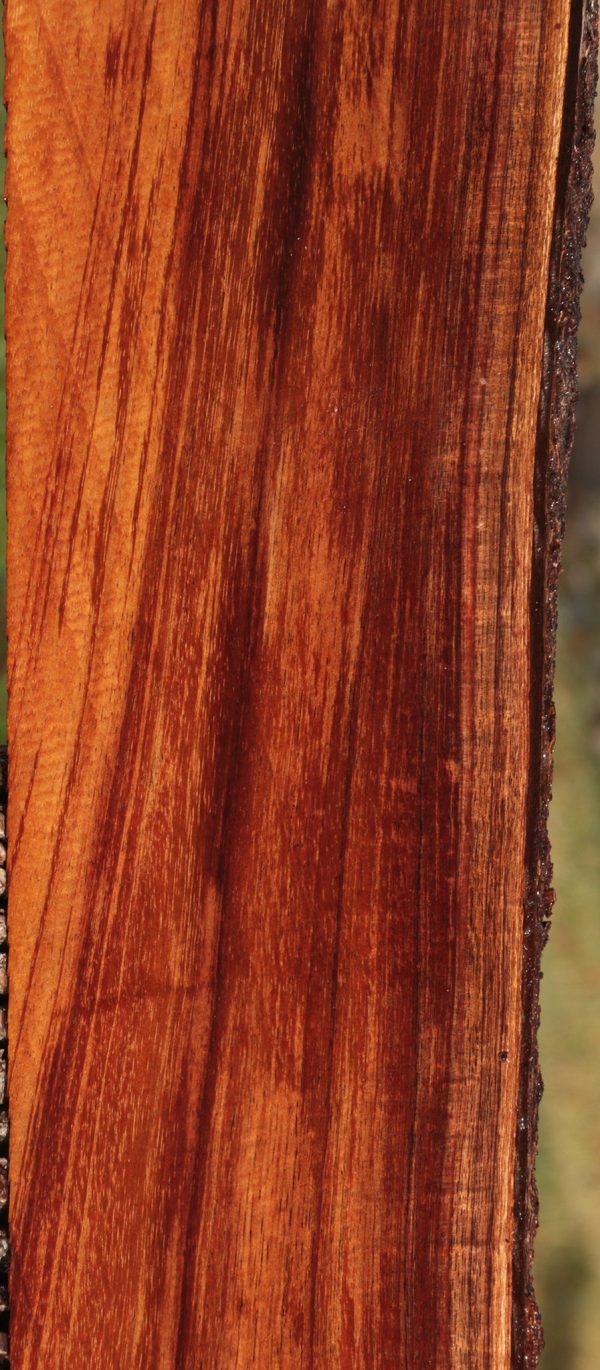 Hawaiian Koa Live Edge Lumber Hot on Sale - Image 5