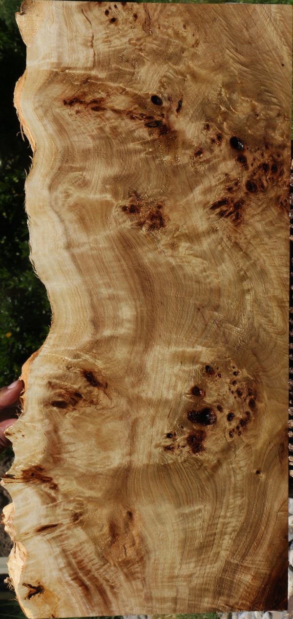 Extra Fancy Mappa Burl Live Edge Lumber Sale - Image 3