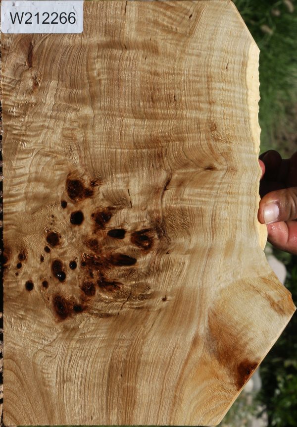 Extra Fancy Mappa Burl Live Edge Lumber Cheap - Image 2