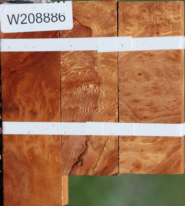 Extra Fancy Sycamore Burl Lumber 3-Pack Hot on Sale