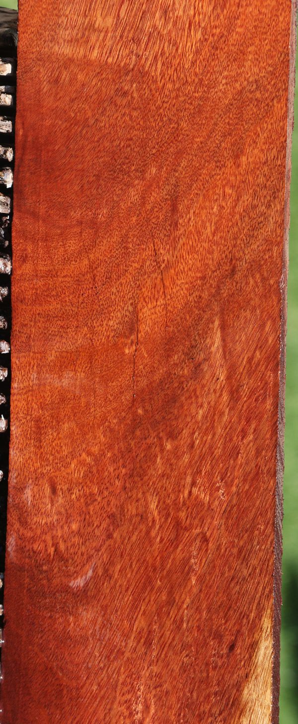 Bloodwood Lumber Online Sale - Image 4