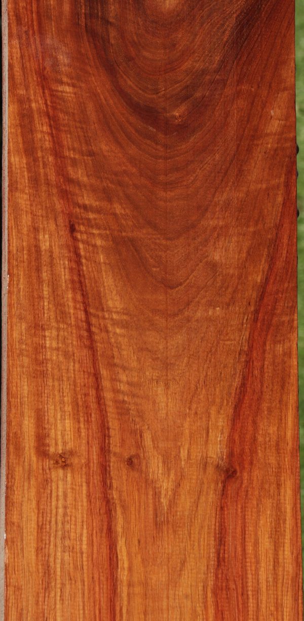 Extra Fancy Kiaat Lumber Online - Image 4