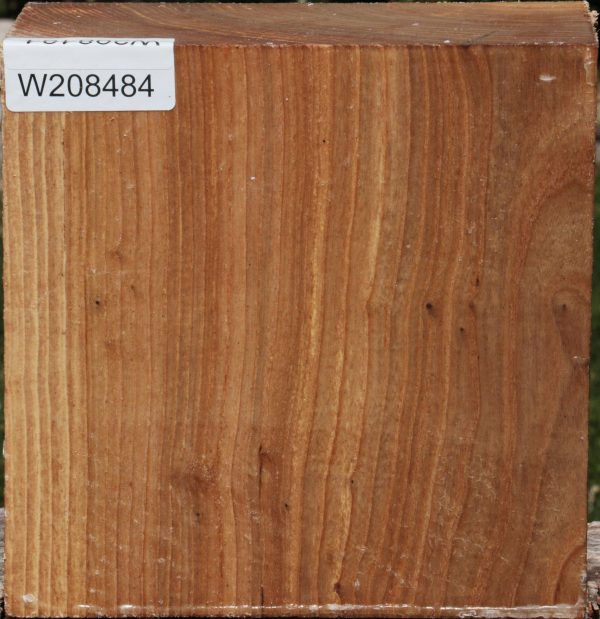 Elm Bowl Blank Online
