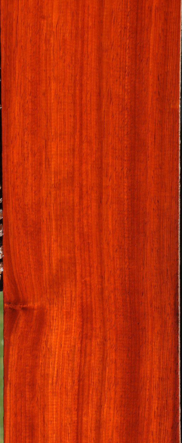Padauk Lumber Online Hot Sale - Image 2