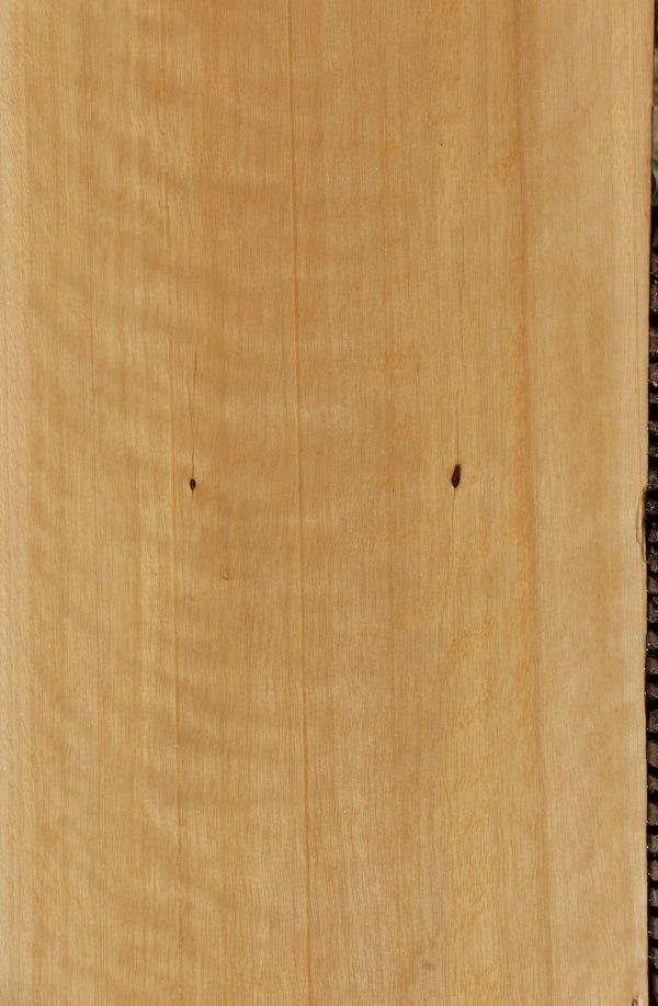 Jelutong Lumber Online Sale - Image 2
