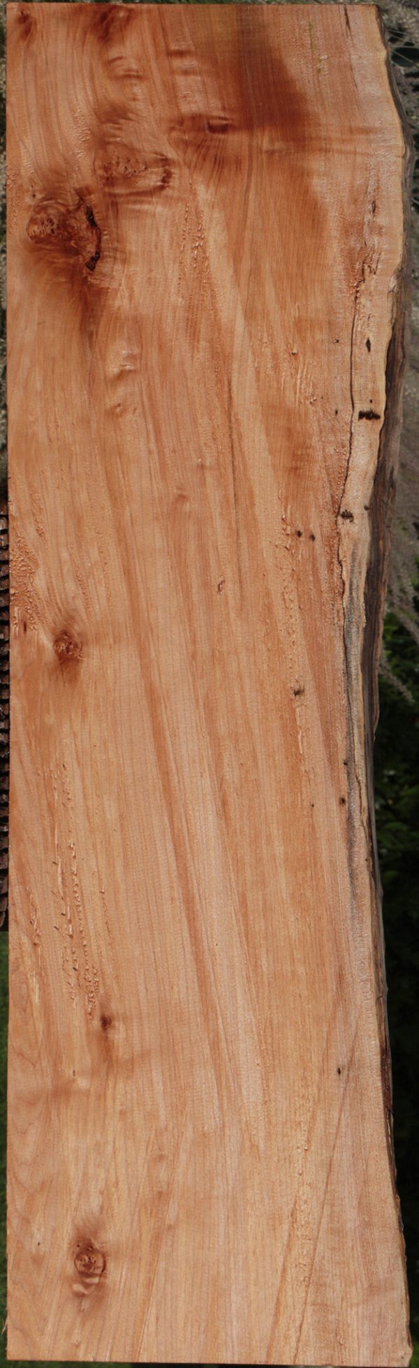 Extra Fancy Western Maple Burl Live Edge Lumber Hot on Sale - Image 3