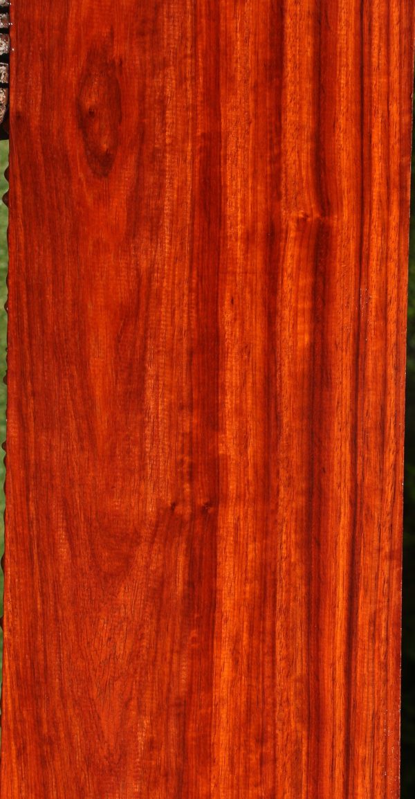 Figured Padauk Lumber Sale - Image 2