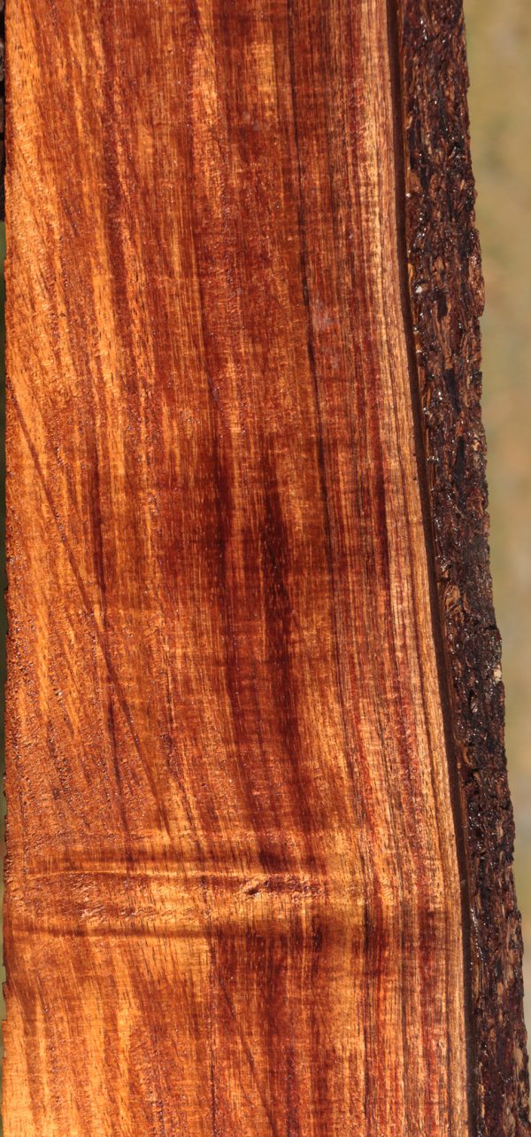Hawaiian Koa Live Edge Lumber Hot on Sale - Image 2