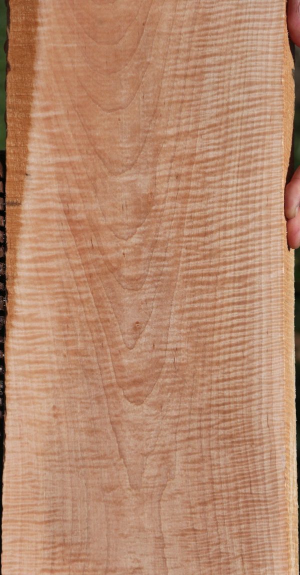 Extra Fancy Curly Eastern Red Maple Lumber on Sale - Image 5