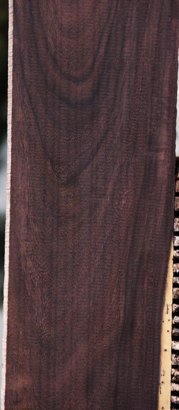 Extra Fancy Katalox Lumber Fashion - Image 3
