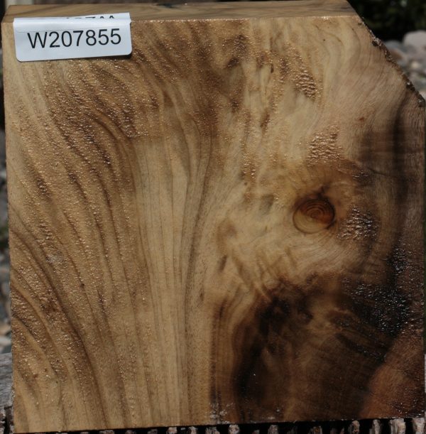 Figured Myrtle Bowl Blank on Sale