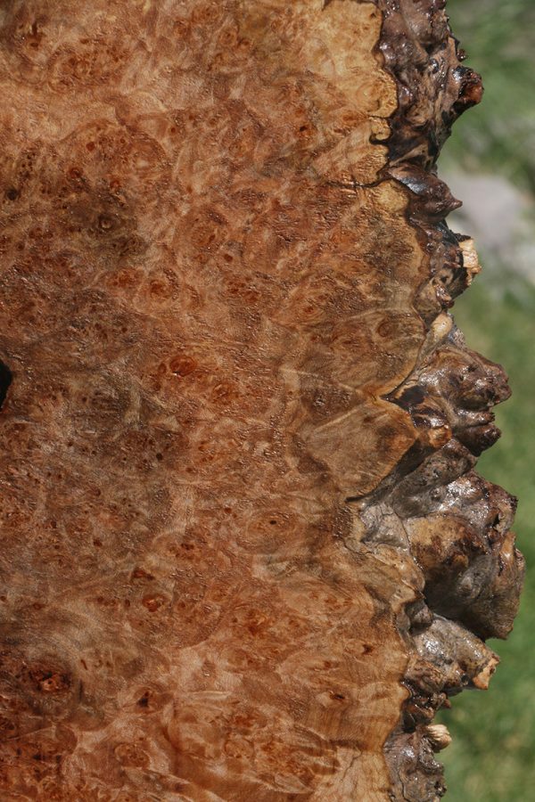 Western Maple Burl Live Edge Lumber Cheap - Image 3