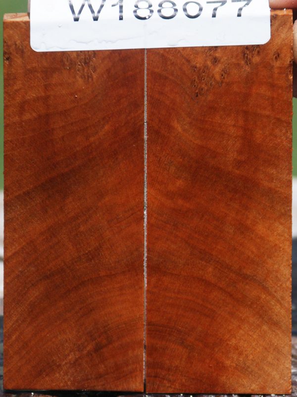Thuya Burl Knife Scales Supply