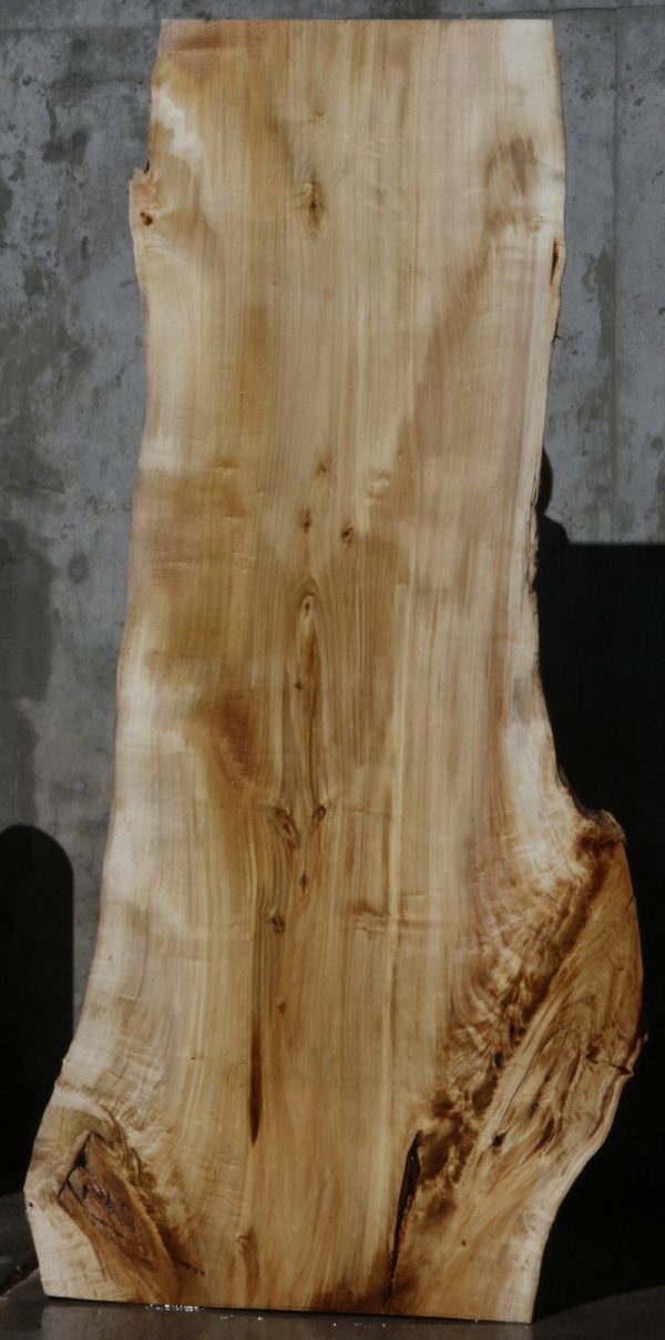 Black Cottonwood Slab Online now