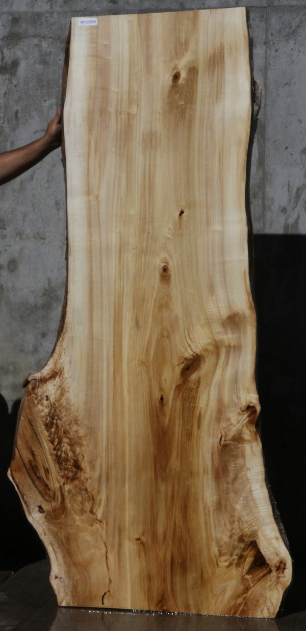 Black Cottonwood Slab Online now - Image 2
