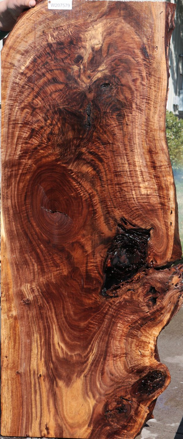 Rustic Crotchwood Claro Walnut Live Edge Lumber For Cheap - Image 2