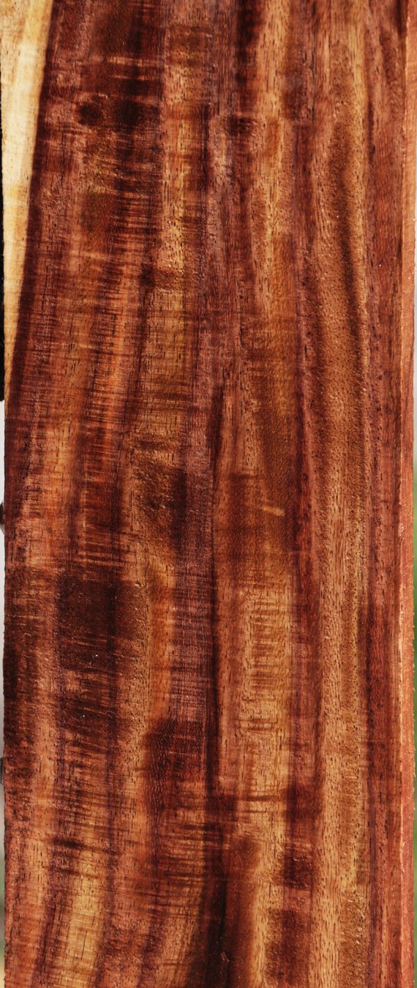 Exhibition East Indian Rosewood Micro Lumber Supply - Image 2