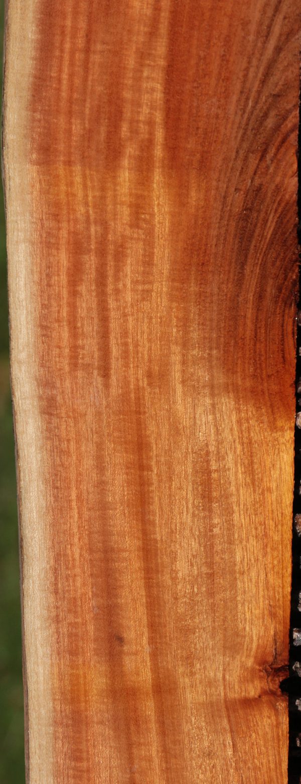 Figured Chaltecoco Live Edge Lumber Hot on Sale - Image 3