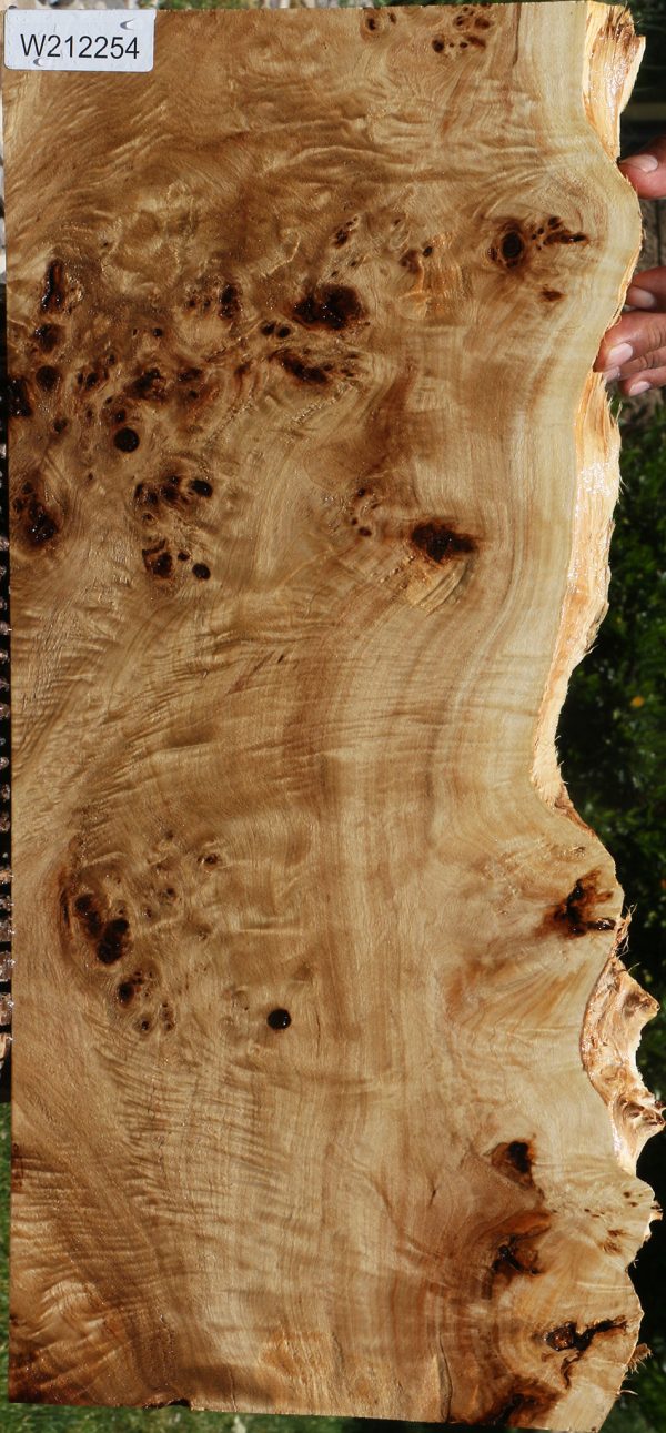 Extra Fancy Mappa Burl Live Edge Lumber Sale