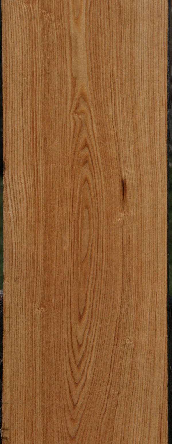 Honey Locust Lumber (Free Shipping Excluded) Hot on Sale - Image 2
