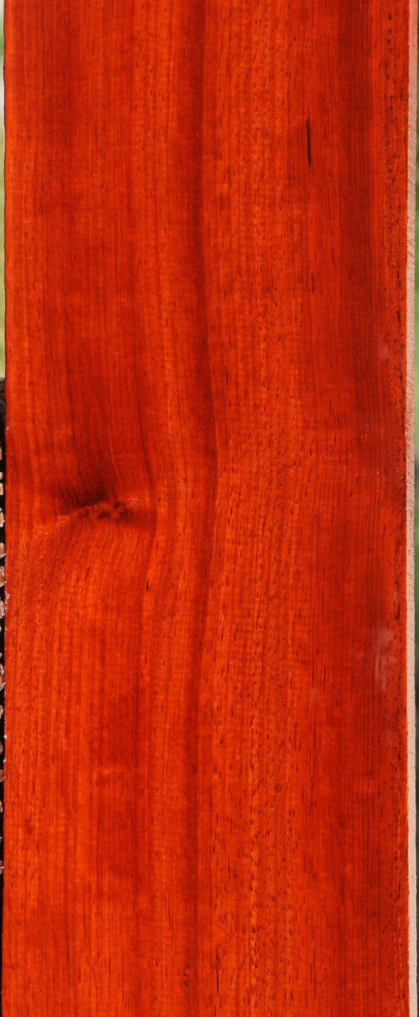Padauk Lumber Online Hot Sale - Image 4