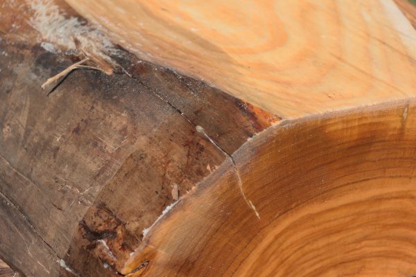 Cherry Live Edge Bowl Blank Online - Image 4