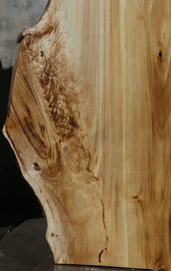 Black Cottonwood Slab Online now - Image 4