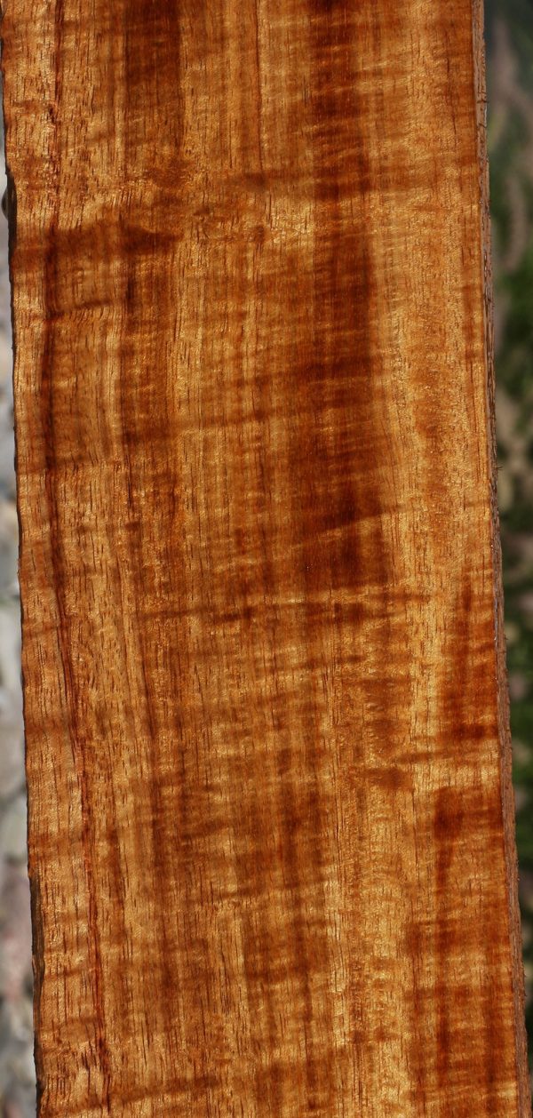 Extra Fancy Hawaiian Koa Lumber Discount - Image 2
