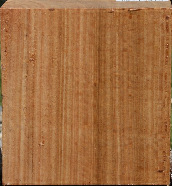 Figured Quartersawn Pomelle Eucalyptus Bowl Blank Online Hot Sale - Image 2