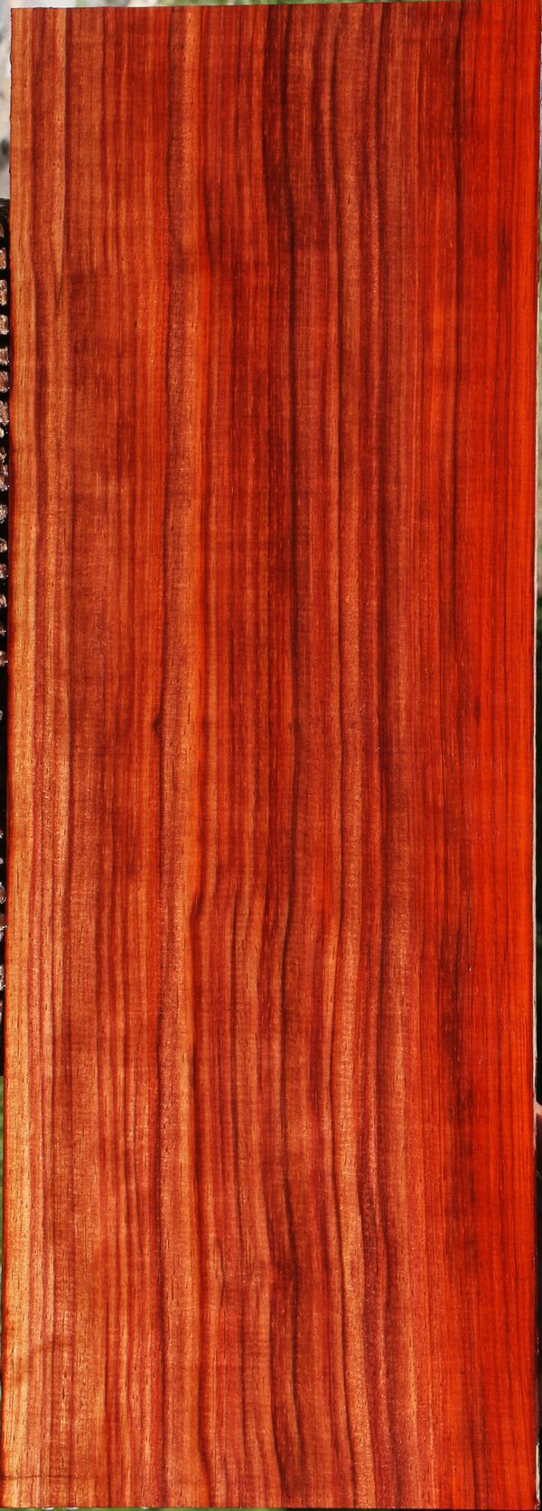 Quartersawn Bacon Padauk Lumber For Discount - Image 2