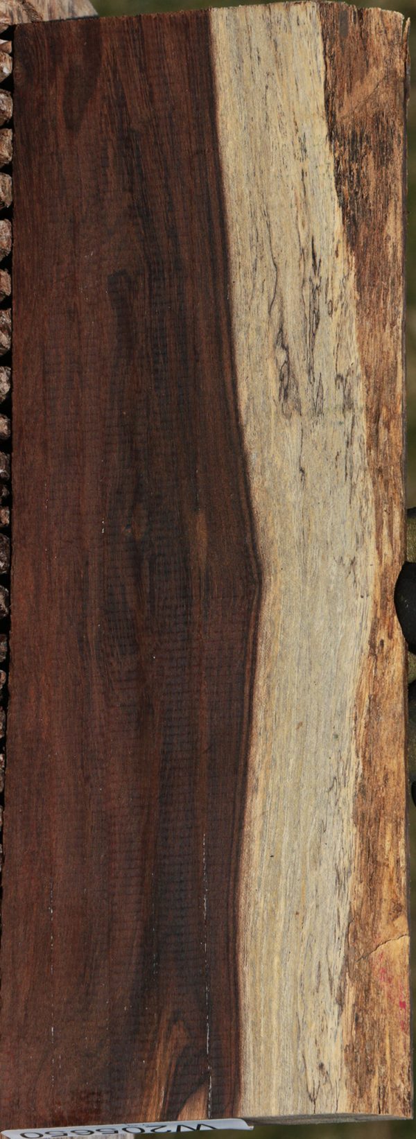 Leadwood Live Edge Lumber Online