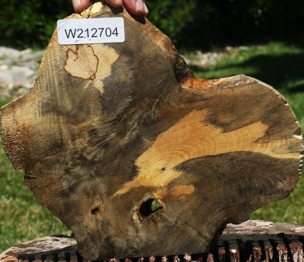 Buckeye Burl Slice Online