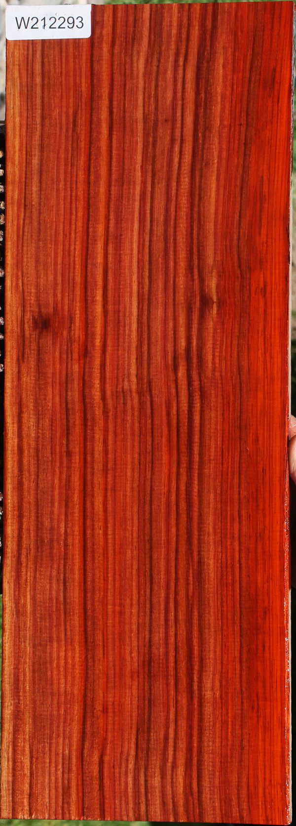 Quartersawn Bacon Padauk Lumber For Discount