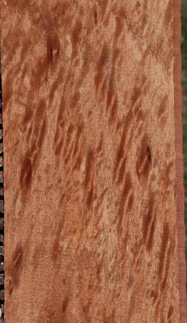 Extra Fancy Okoume Lumber Cheap - Image 2
