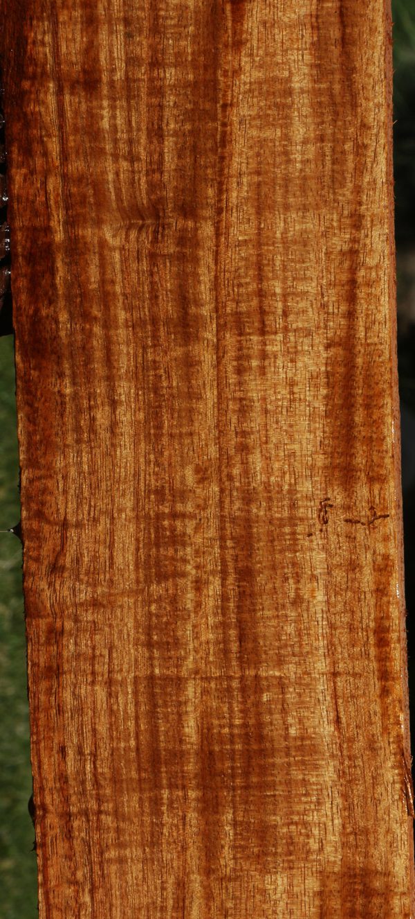 Exhibition Quartersawn Hawaiian Koa Lumber Online now - Image 3