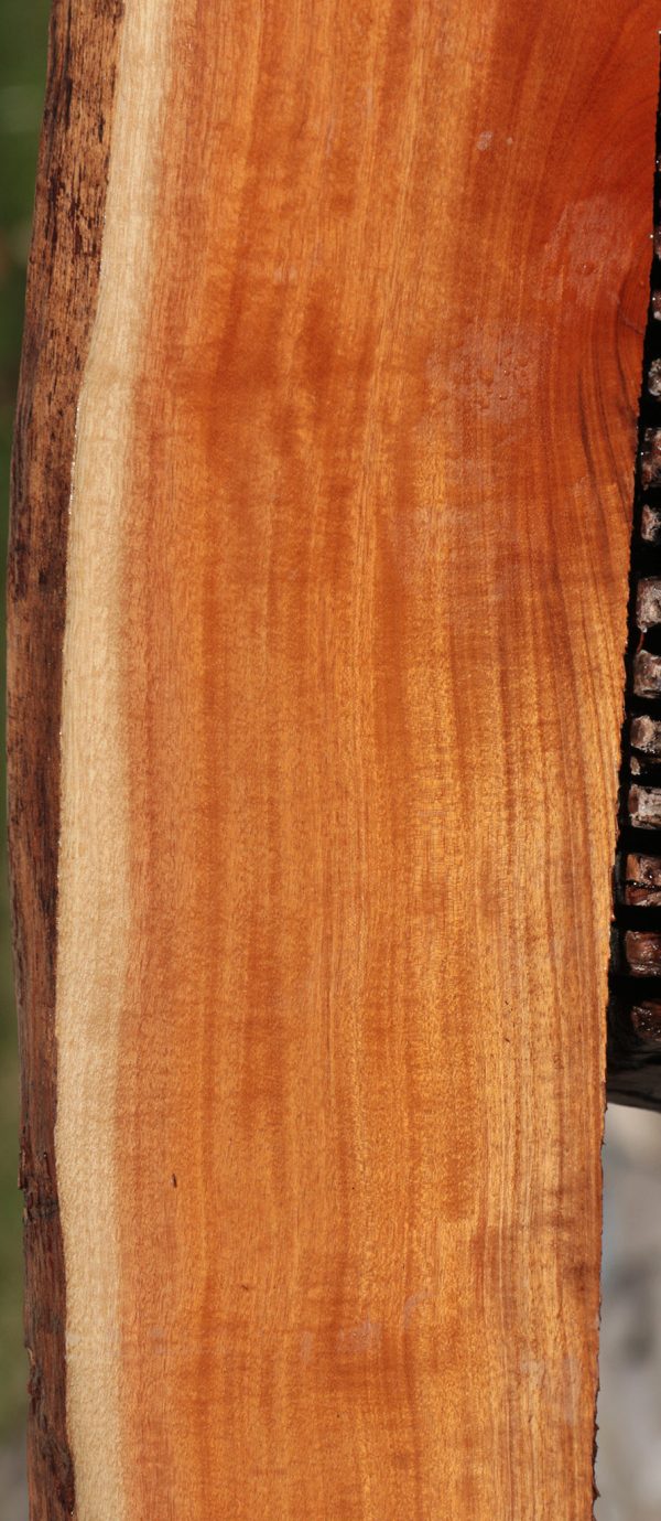 Figured Chaltecoco Live Edge Lumber Hot on Sale - Image 4