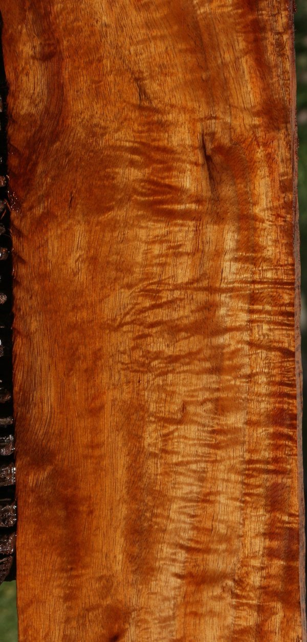 Extra Fancy Hawaiian Koa Lumber Cheap - Image 2