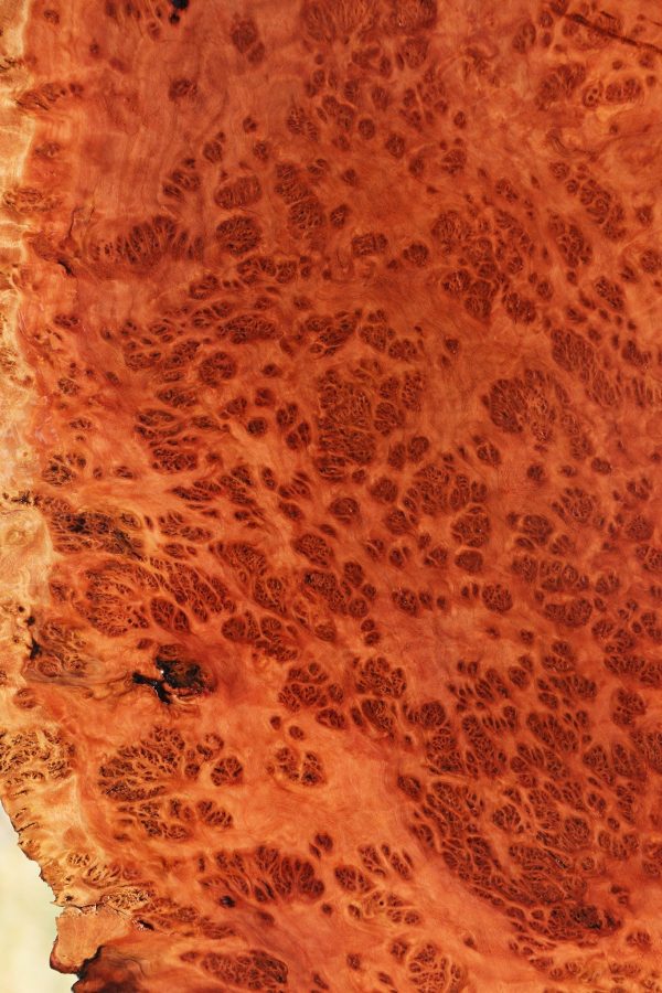 Red Coolibah Live Edge Burl Cookie Discount - Image 2