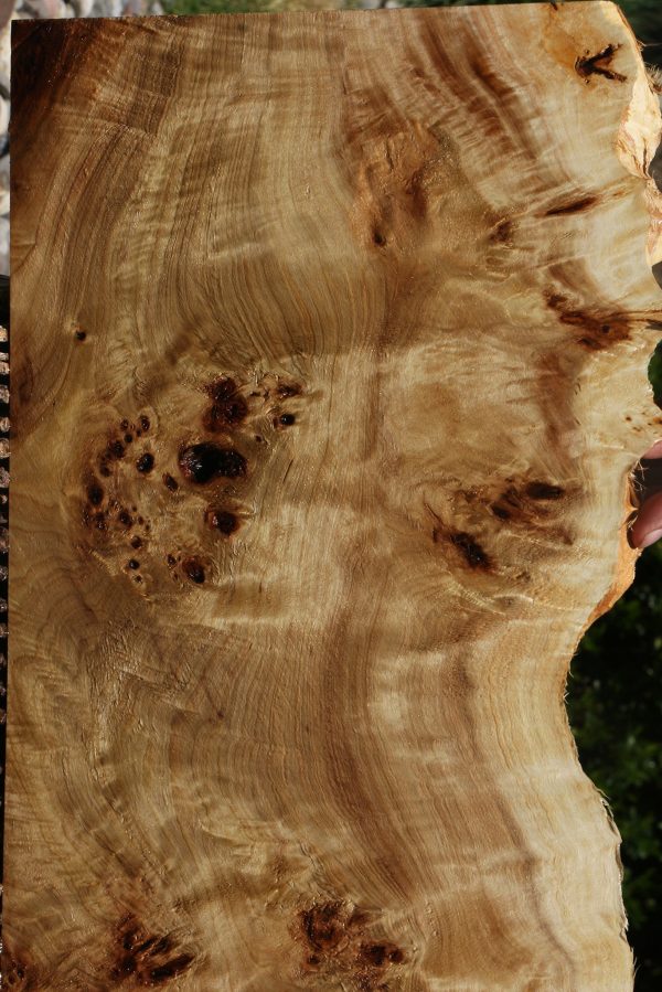 Extra Fancy Mappa Burl Live Edge Lumber Sale - Image 4