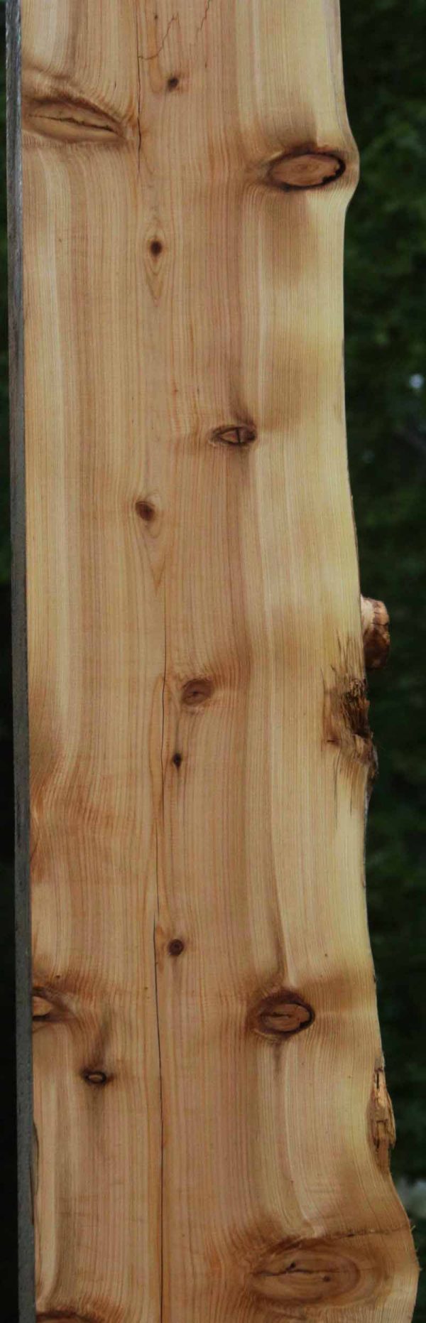 Rustic Wormy Incense Cedar Mantel Online - Image 5
