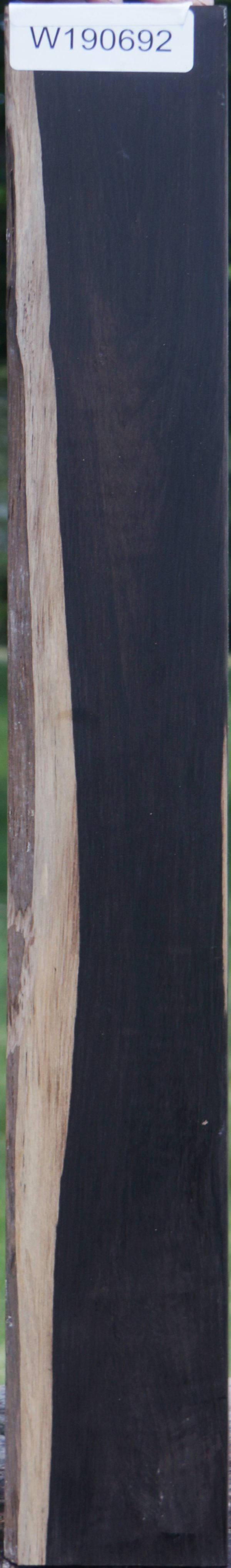 African Blackwood Instrument Blank Online now - Image 2