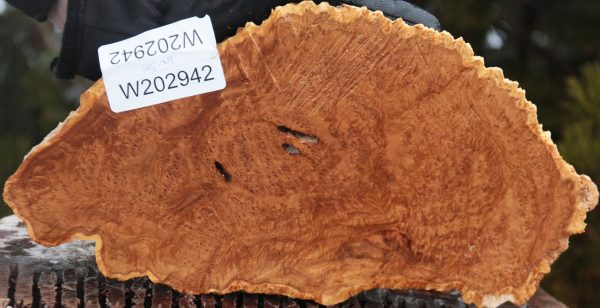 Gold Mallee Burl Cap on Sale