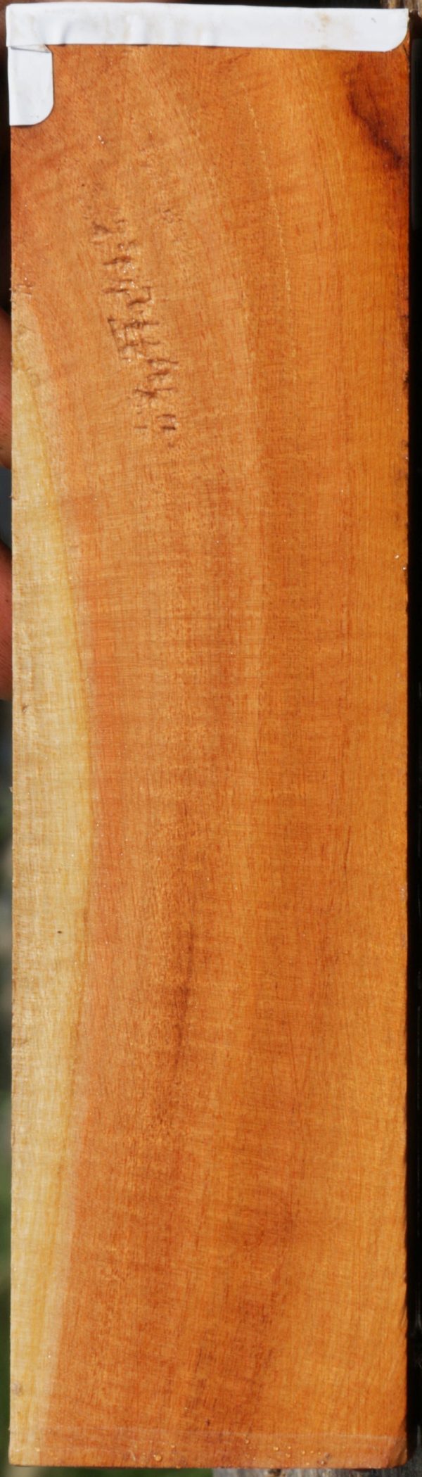 Pink Ivory Lumber Online Hot Sale - Image 2