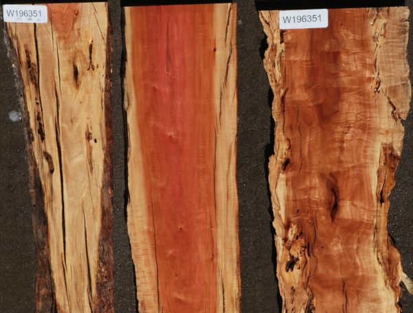 Rustic Pink Ivory Live Edge Lumber 3 Pack Online Sale - Image 4