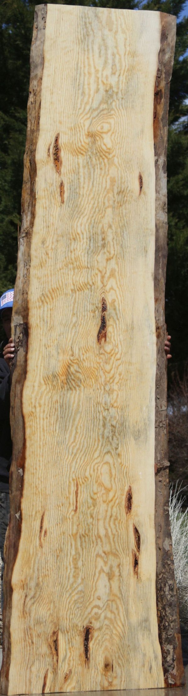 Rustic Ponderosa Pine Slab Online Sale - Image 5
