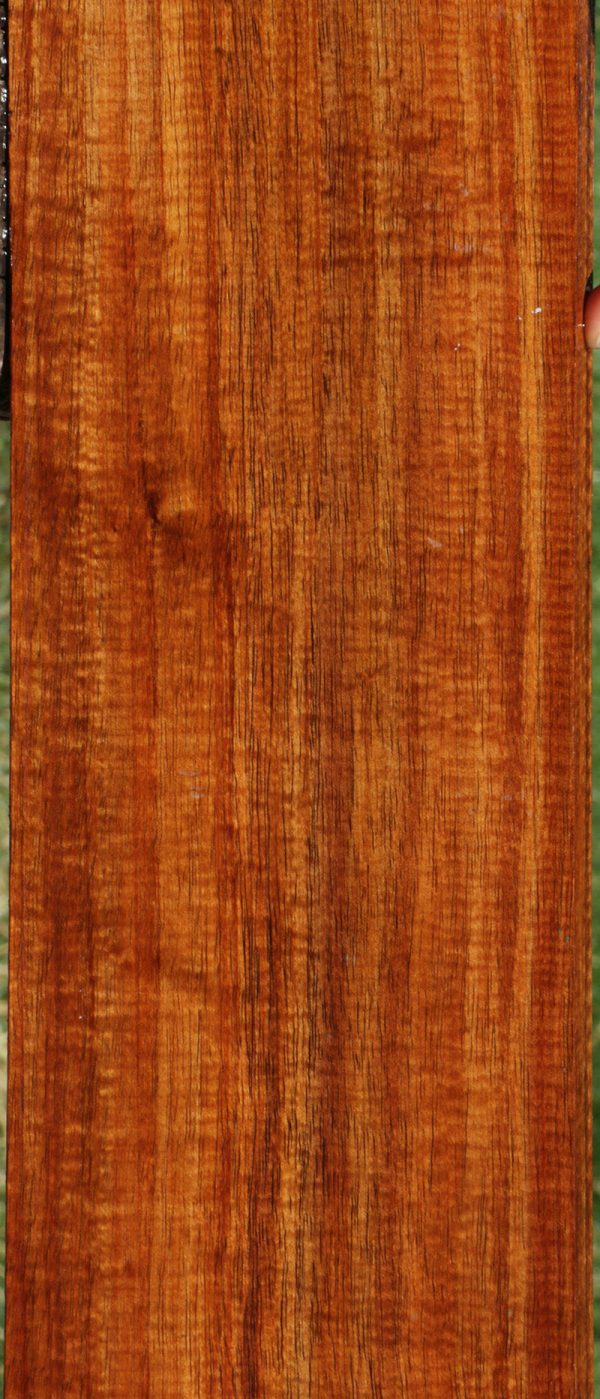 Exhibition Fiddleback Hawaiian Koa Lumber Hot on Sale - Image 5