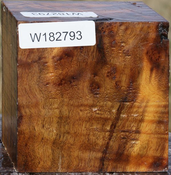 Camphor Burl Bowl Blank For Cheap